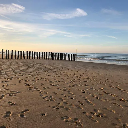 Grande Maison Familiale 300 M De La Et Du Centre * 상가트